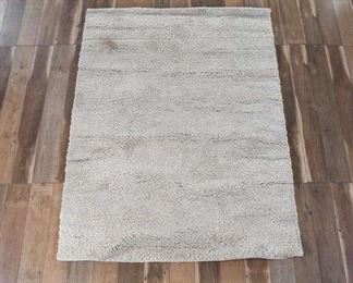 5'X7' Home Accents Ivory Shag Area Rug
