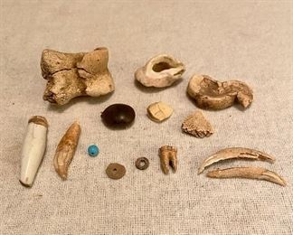 Various Finds - Porcelain leg, bear tooth, beads, tooth, bone fragments, petrified shells - $35