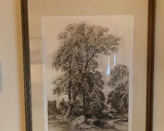 Elm and Birch Tree Art Lithograph