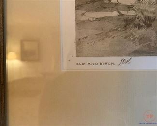 Elm and Birch Tree Art Lithograph