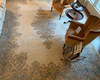 Large 15 1/2' x 10' Area Rug