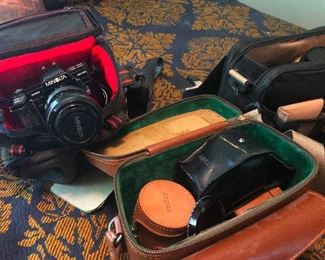 Lots of vintage cameras