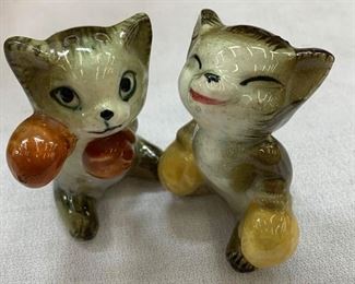 Salt and pepper! Who doesn't love a boxing pair of kittens! 