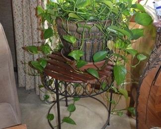 $130 Plant Stand with Plant 
