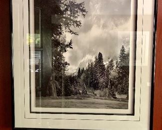 30” W x 35” L
$75