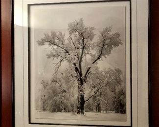 29.5” W x 34” L
$75