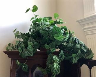 Large silk plant in basket
$18