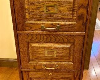 Great Looking Oak File Cabinet: $145