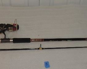 EXTRA NICE FISHING ROD AND REEL