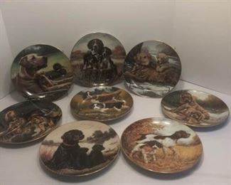 A Sporting Generation