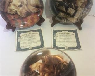 Comforts of Home Collection by Sueellen Ross