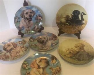 For the Love of Labs by Linda Picken