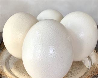 Set of FOUR authentic, painted ostrich eggs. $50 / all. 