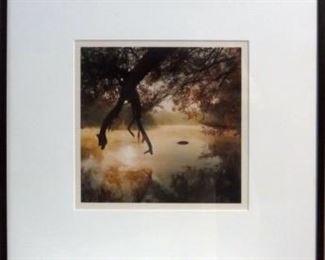 Steven Foster,  IMG_1380, 12 - River Series,
Eating the Sun #12, 1988-89 10.0 x 10.0 " Ektacolor print