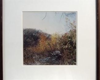 Steven Foster,  IMG_1397,24 - River Series
(FS64), 1988-89 10.0 x 10.0 ", Ektacolor print