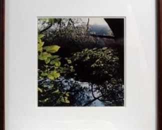 Steven Foster,  IMG_1437,  8 - River Series (FS72) , 1988-89 10.0 x 10.0 " Ektacolor print
