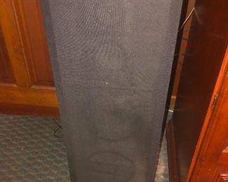 So I hightailed it home and was only 5 minutes late. I think these big-ass speakers are still available.