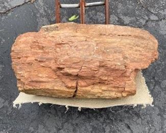 #17 $400 - 120-140 pound piece of petrified wood 