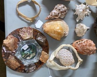#22 $35 -Assorted Aquatic - Shells, Shark Jaws, Rock Ashtray, and Rocks 