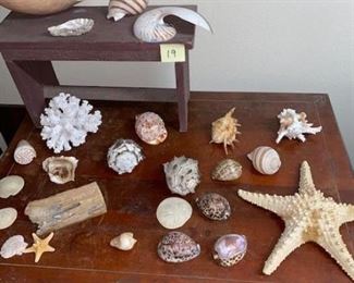 #19 $25 - Collection of sea shells, piece of petrified wood, and starfish 