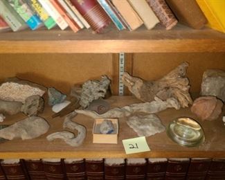 #21 $75 - Collection of Minerals, Rocks, and Fossils - Only what is on the shelf with rocks, minerals, and fossils - Not included are any of the books above or below the shelf Also, please see all #21 pictures to see all