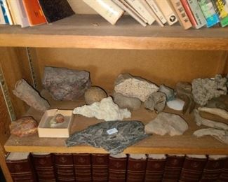 #21 $75 - Collection of Minerals, Rocks, and Fossils - Only what is on the shelf with rocks, minerals, and fossils - Not included are any of the books above or below the shelf Also, please see all #21 pictures to see all