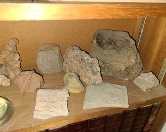 #21 $75 - Collection of Minerals, Rocks, and Fossils - Only what is on the shelf with rocks, minerals, and fossils - Not included are any of the books above or below the shelf Also, please see all #21 pictures to see all