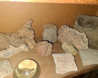 #21 $75 - Collection of Minerals, Rocks, and Fossils - Only what is on the shelf with rocks, minerals, and fossils - Not included are any of the books above or below the shelf Also, please see all #21 pictures to see all