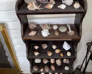 #23 $65 - Shell Collection - Does not include the shelves.  