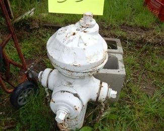 #53 $75 - Fire Hydrant 