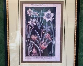 46. Pair of "Garden of Pleasant Flowers" Botanical Prints (22.5'' x 30.5''), $ 700.00