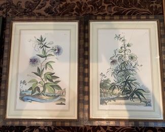 209. Pair of Botanicals (14" x 19"), $ 180.00