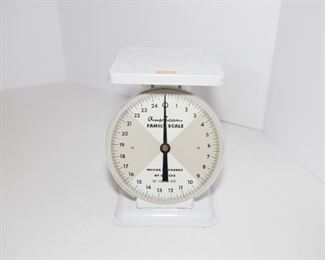 C18	American Family Scale	$39.95