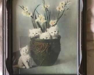 Sweetest kitties in pottery vase but the frame is an Art Noveau masterpiece in gesso form 9.5 x 11.5 $45.00 SALE $35.00 SALE $25.00 SALE $20.00