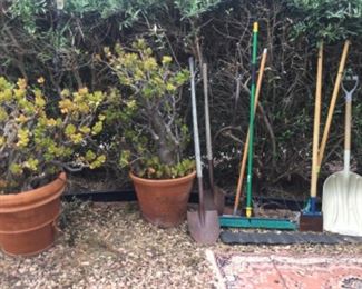 Plants now 2 for $10.00