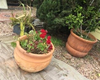 Large pot with carnations $10 other sold