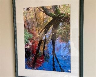 Framed Art ===>$ 100