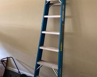 Werner Step ladder ===>$ 60