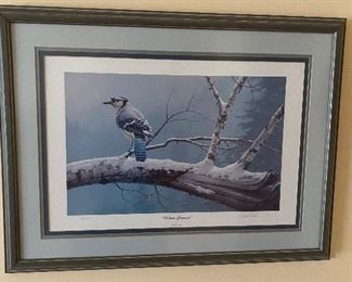 Framed blue bird print