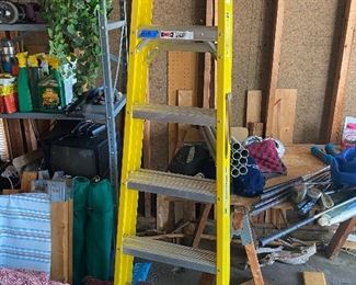 Werner 6' ladder