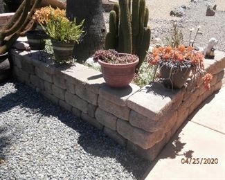 Many potted plants.....$20 to $40  unless individually priced....2 more photos   (760) 445-8571........CJ