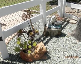 More potted plants and some garden art!   DOG IS SOLD!
