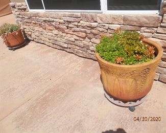 Plants on rolling stands....$30 each