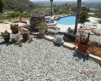 Plants!  Plants! Plants!!