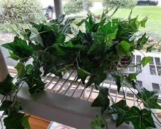 Silk Ivy Plant $5.00 - Now 75% Off