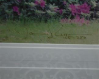 Lg matted & framed signed & numbered picture of spring shrubs  #45/250