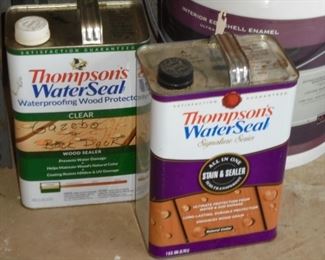 Thompson's water seal