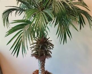 $20 - 43" palm tree (artificial)