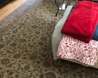 Family room rug asking $250