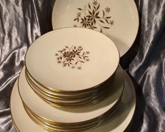 STARLIGHT BY LENOX GOLD TRIM CHINA- BROWN FLORAL-24 PC $40